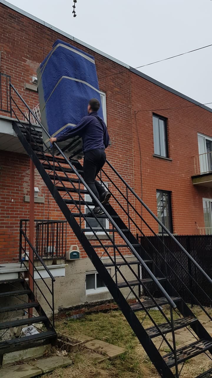 Moving Cote-des-Neiges–Notre-Dame-de-Grace