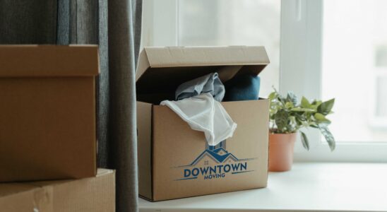 10 Essential Tips for Packing Like a Pro Before Moving Day